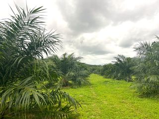 For sale land in Thai Mueang, Phang Nga