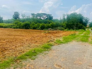For sale land in Phatthana Nikhom, Lopburi