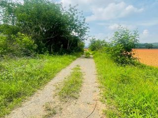 For sale land in Phatthana Nikhom, Lopburi