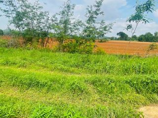 For sale land in Phatthana Nikhom, Lopburi