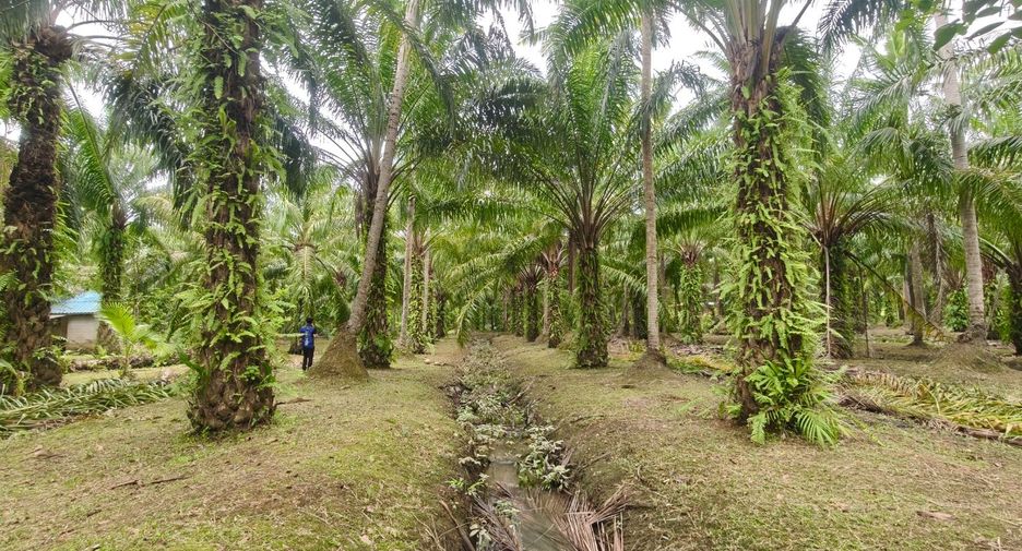 For sale land in Mueang Surat Thani, Surat Thani