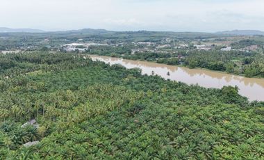 For sale land in Mueang Surat Thani, Surat Thani