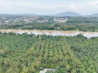 Продажа Участок в Mueang Surat Thani, Сураттани