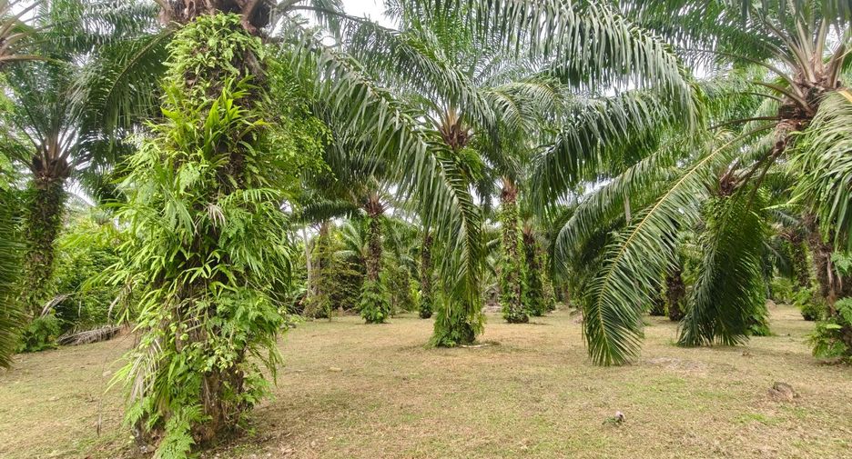 For sale land in Mueang Surat Thani, Surat Thani