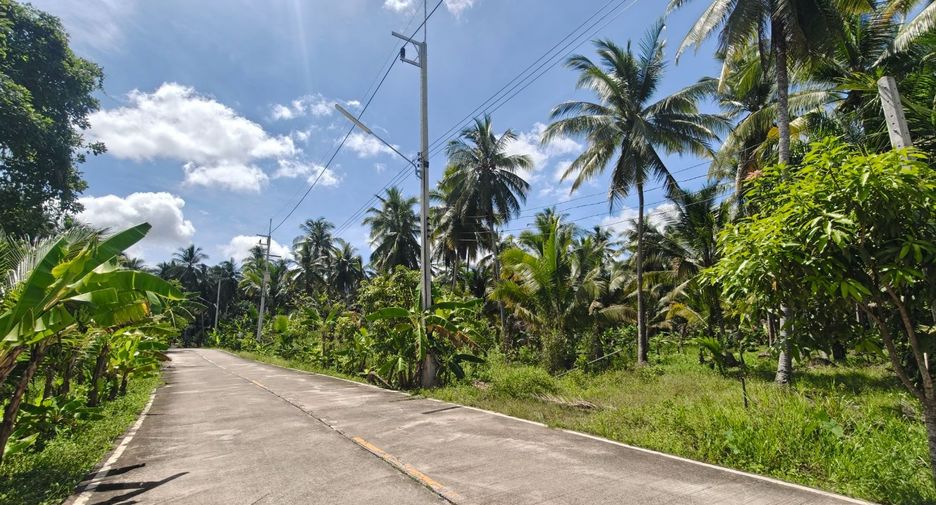 For sale land in Mueang Surat Thani, Surat Thani