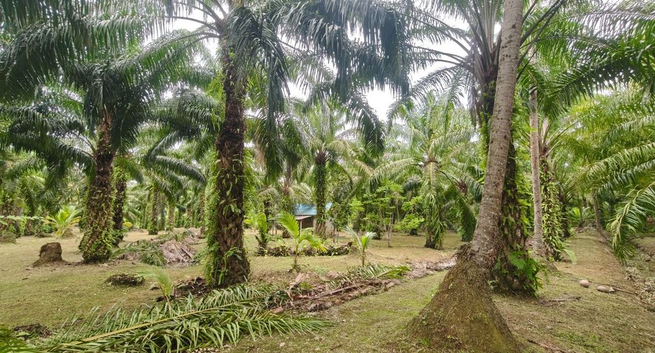 For sale land in Mueang Surat Thani, Surat Thani