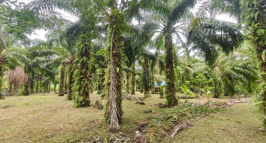 For sale land in Mueang Surat Thani, Surat Thani