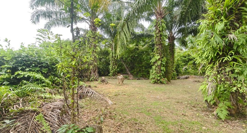 For sale land in Mueang Surat Thani, Surat Thani