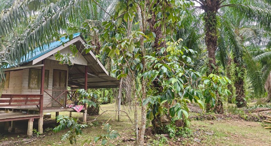 For sale land in Mueang Surat Thani, Surat Thani