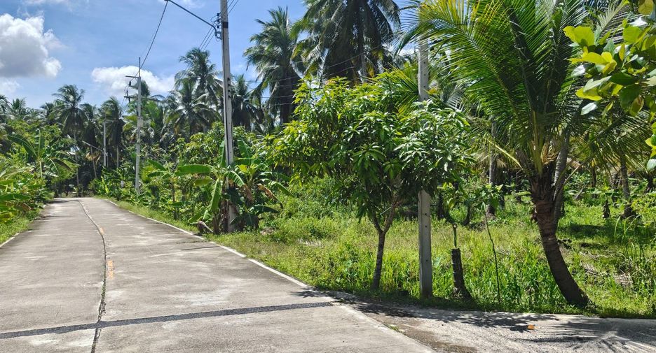 For sale land in Mueang Surat Thani, Surat Thani