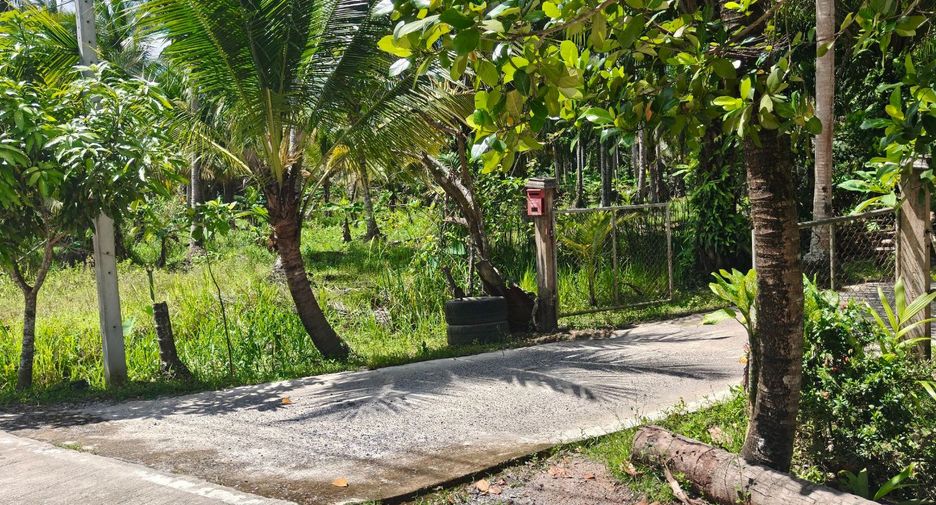 For sale land in Mueang Surat Thani, Surat Thani