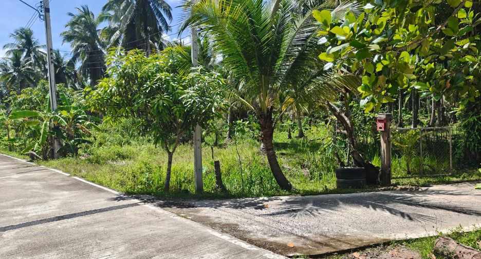 For sale land in Mueang Surat Thani, Surat Thani