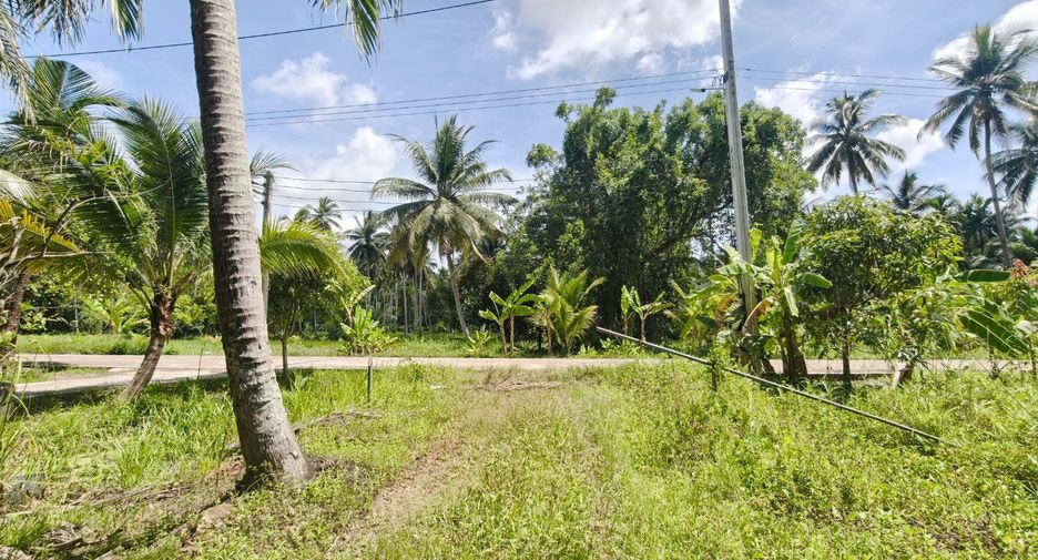 For sale land in Mueang Surat Thani, Surat Thani