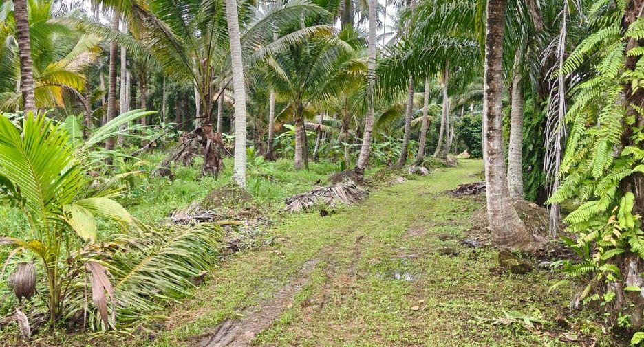 For sale land in Mueang Surat Thani, Surat Thani