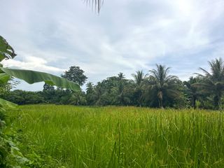 For sale land in Thai Mueang, Phang Nga