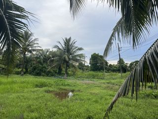 For sale land in Thai Mueang, Phang Nga