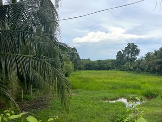 For sale land in Thai Mueang, Phang Nga