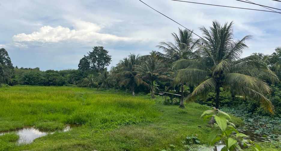 Grundstück zum Kauf in Thai Mueang, Phang Nga