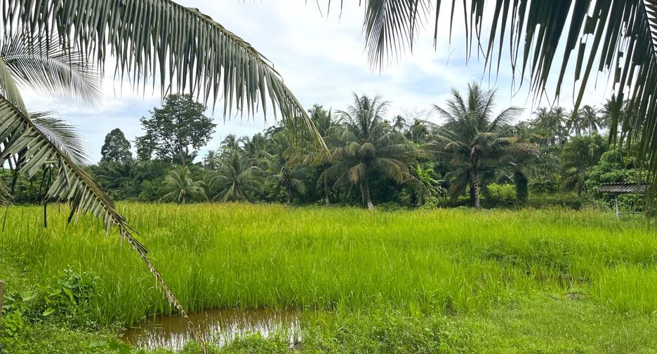 Grundstück zum Kauf in Thai Mueang, Phang Nga
