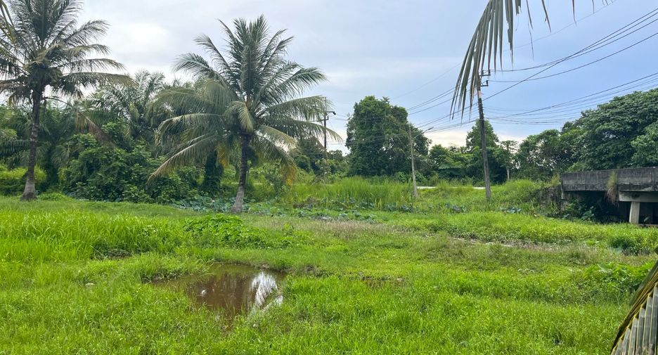 Grundstück zum Kauf in Thai Mueang, Phang Nga