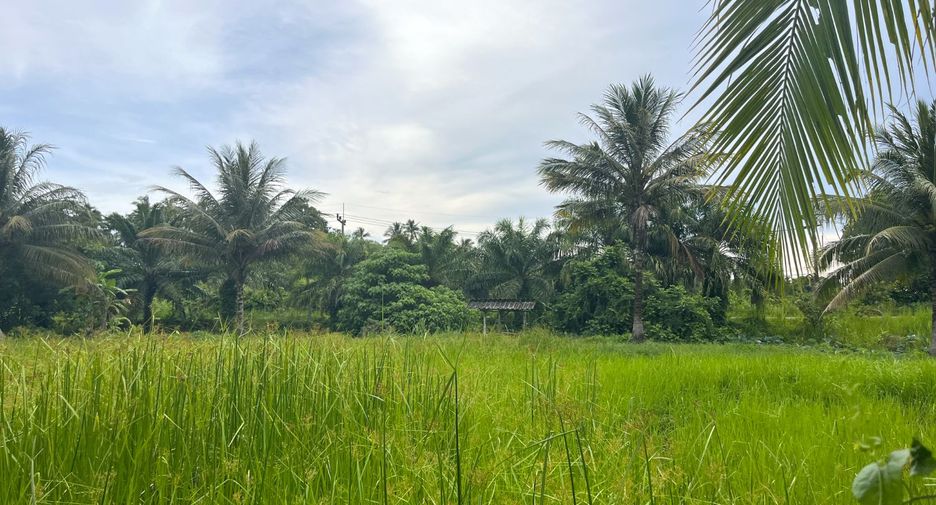 Grundstück zum Kauf in Thai Mueang, Phang Nga