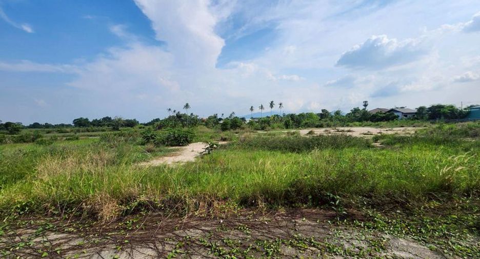 À vendre terrain à Phan Thong, Chonburi