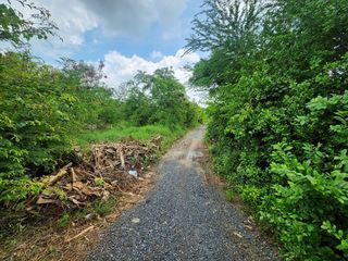 For rent and for sale land in Mueang Suphanburi, Suphan Buri