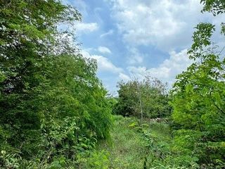 For rent and for sale land in Mueang Suphanburi, Suphan Buri