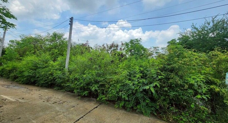 For rent and for sale land in Mueang Suphanburi, Suphan Buri
