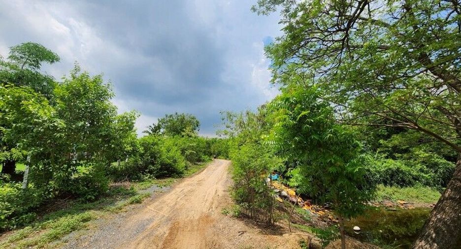For rent and for sale land in Mueang Suphanburi, Suphan Buri