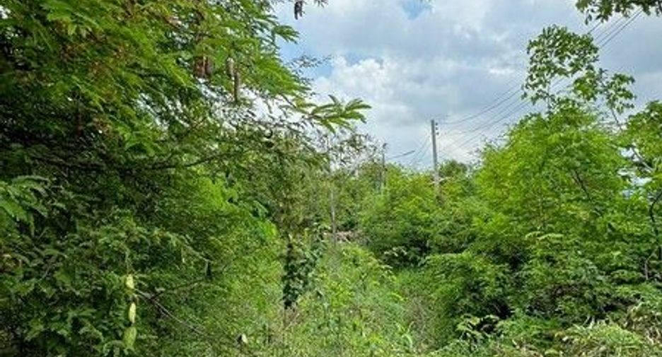 For rent and for sale land in Mueang Suphanburi, Suphan Buri