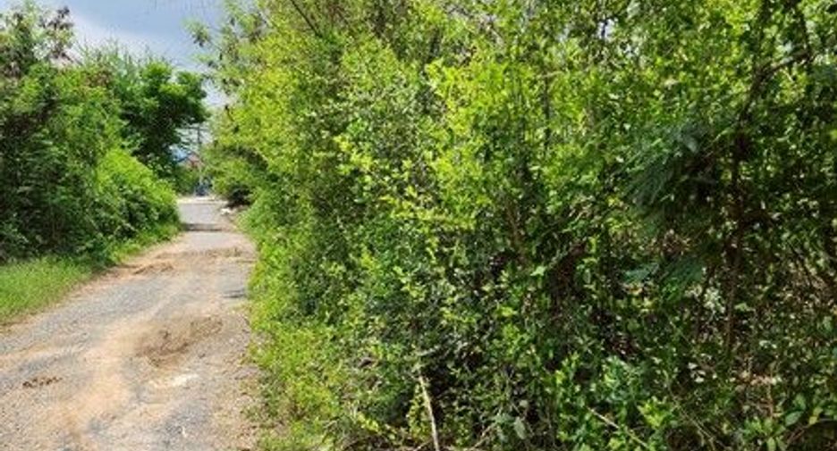 For rent and for sale land in Mueang Suphanburi, Suphan Buri
