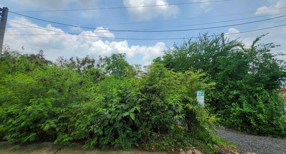 For rent and for sale land in Mueang Suphanburi, Suphan Buri
