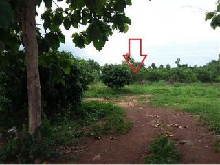 For sale land in Mueang Kalasin, Kalasin