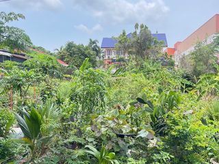 ขาย ที่ดิน ใน บ้านฉาง, ระยอง