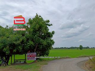 For sale land in Chaiyo, Ang Thong