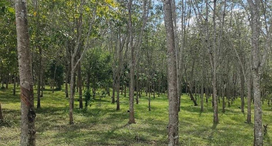 For sale land in Thalang, Phuket