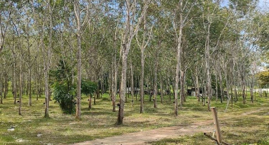 For sale land in Thalang, Phuket