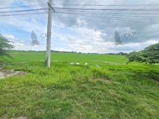 For sale land in Mueang Pathum Thani, Pathum Thani