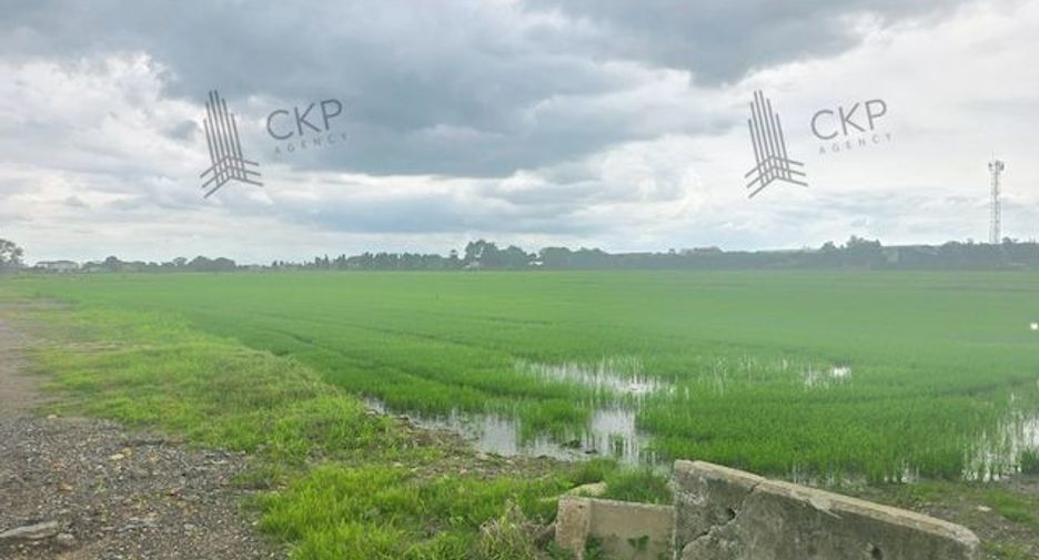 Grundstück zum Kauf in Mueang Pathum Thani, Pathum Thani