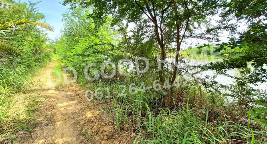ขาย ที่ดิน ใน ครบุรี, นครราชสีมา