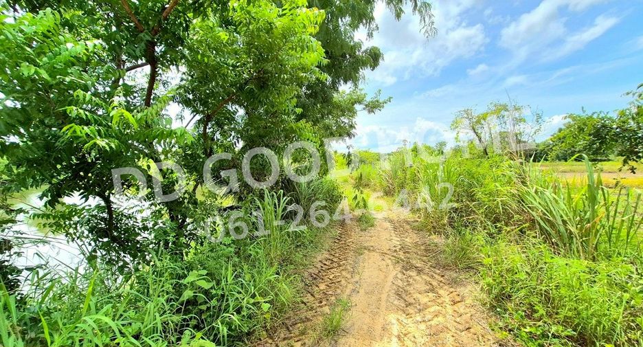 ขาย ที่ดิน ใน ครบุรี, นครราชสีมา