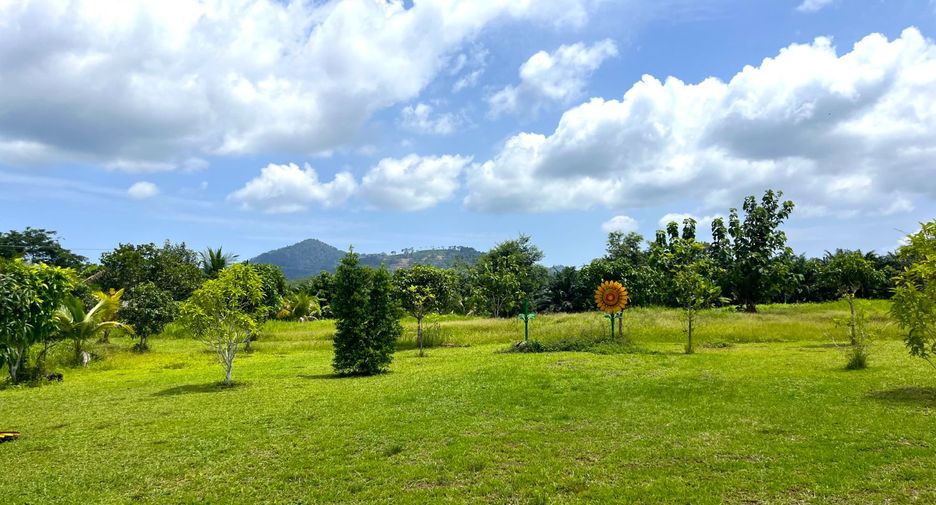For sale land in Takua Thung, Phang Nga