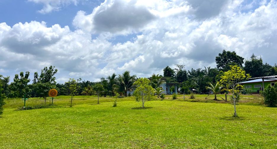 For sale land in Takua Thung, Phang Nga
