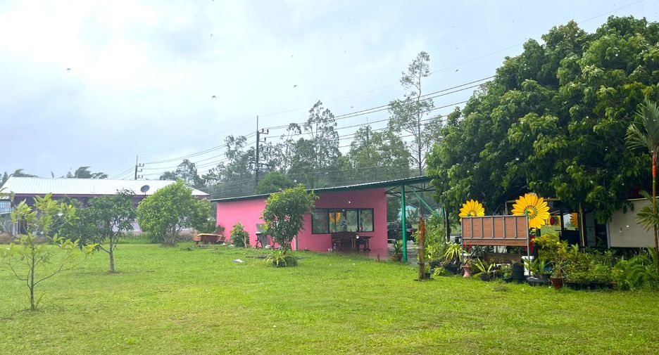 For sale land in Takua Thung, Phang Nga