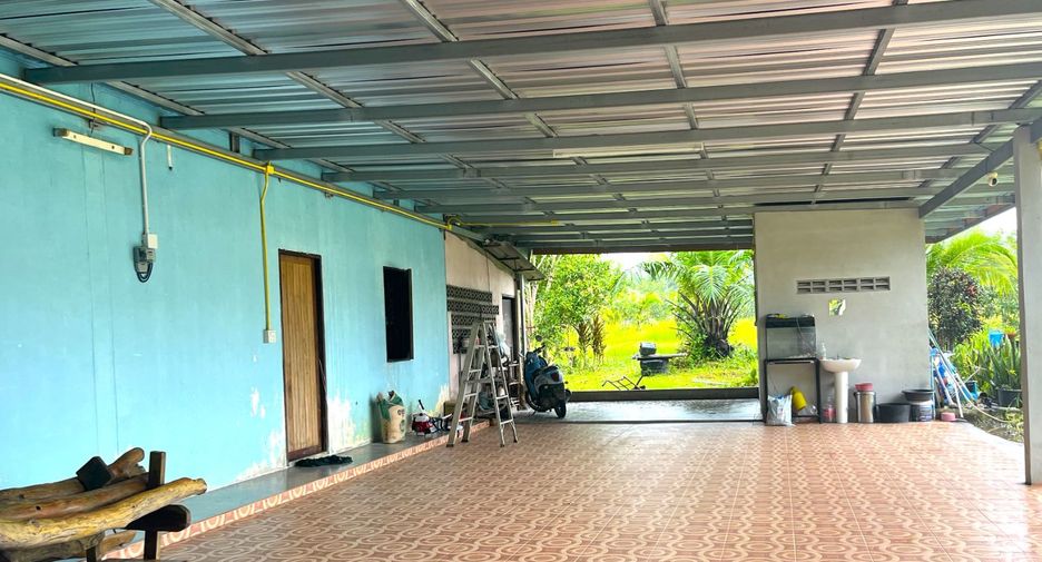 For sale land in Takua Thung, Phang Nga
