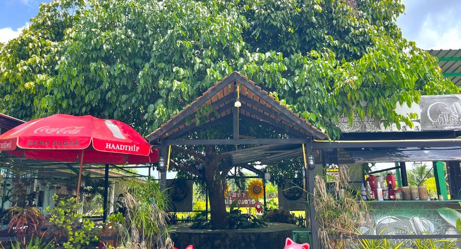 For sale land in Takua Thung, Phang Nga