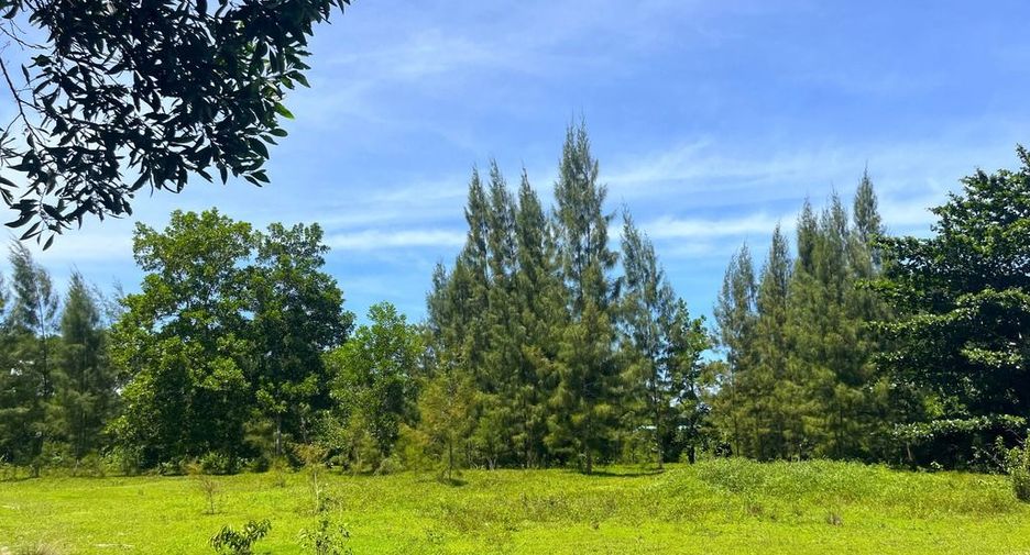 Terreno en venta en Thai Mueang, Phang Nga