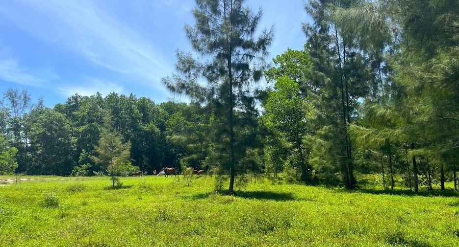 Terreno en venta en Thai Mueang, Phang Nga