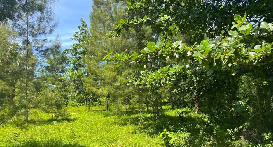 Terreno en venta en Thai Mueang, Phang Nga